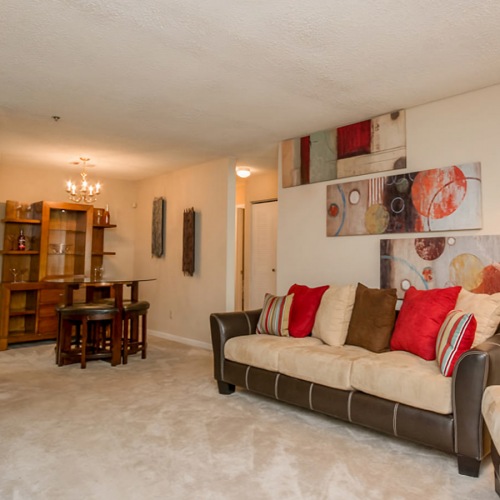 Spacious Living Room Spacious Living Room